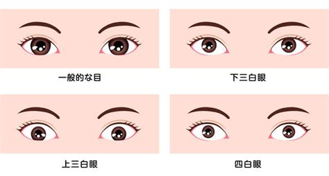 桃花眼 三白眼|桃花眼とは？特徴15個とメイク方法！一重や整形は？芸能人17人。